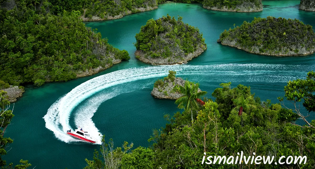 Wisata Alam Raja Ampat: Surga Bahari Kelas Dunia